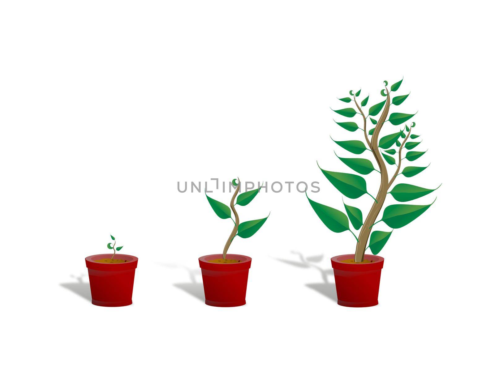 three green plants in different sizes on white background - 3d rendering