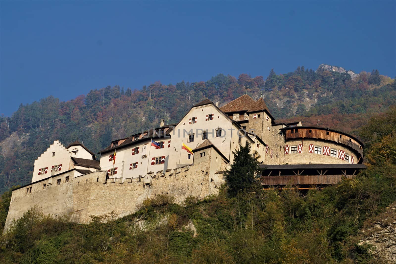 View on Vaduz castle enthroned on a hill by pisces2386