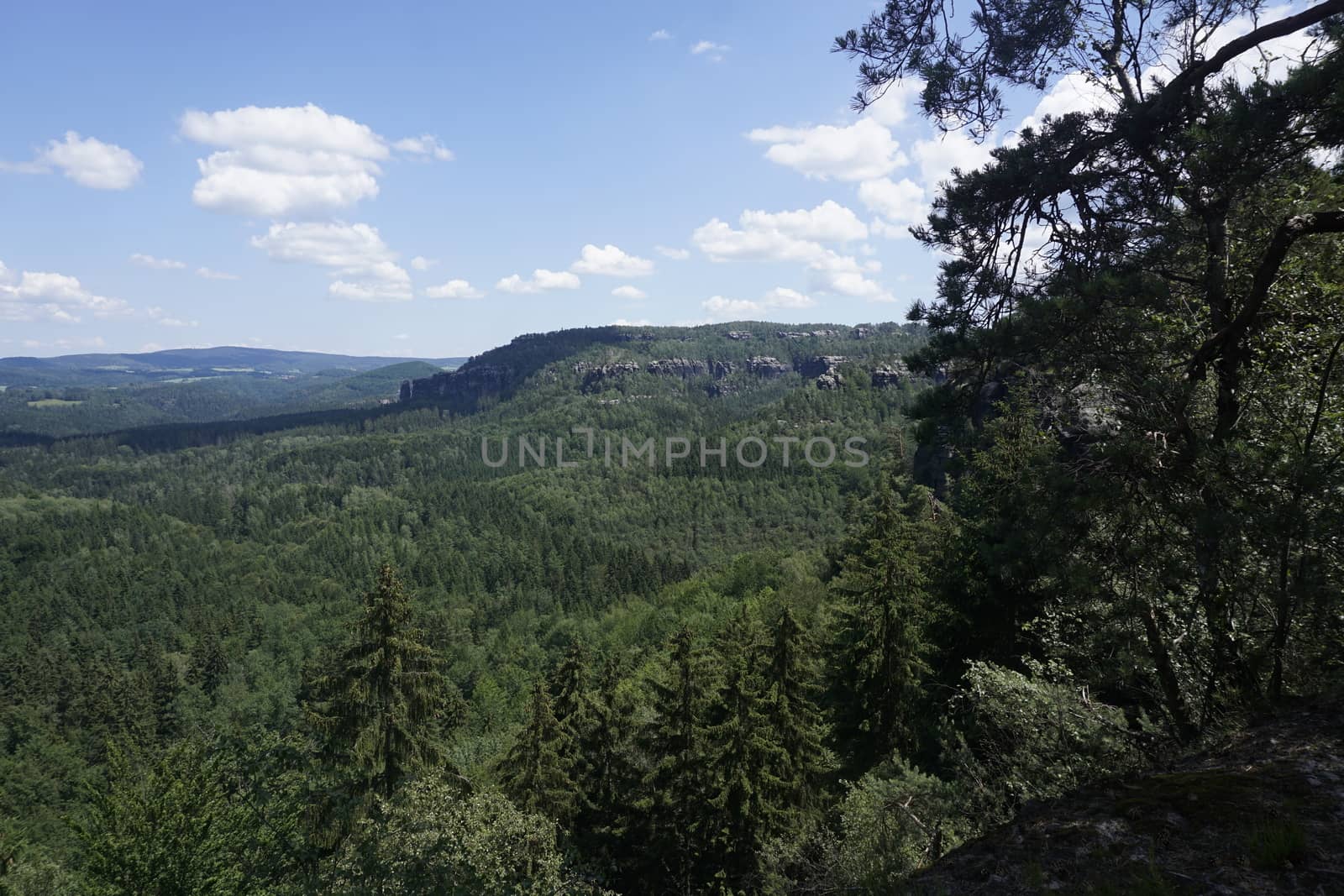 Forest and rock panorama from the Schrammsteine mountains in Saxon Switzerland, Germany