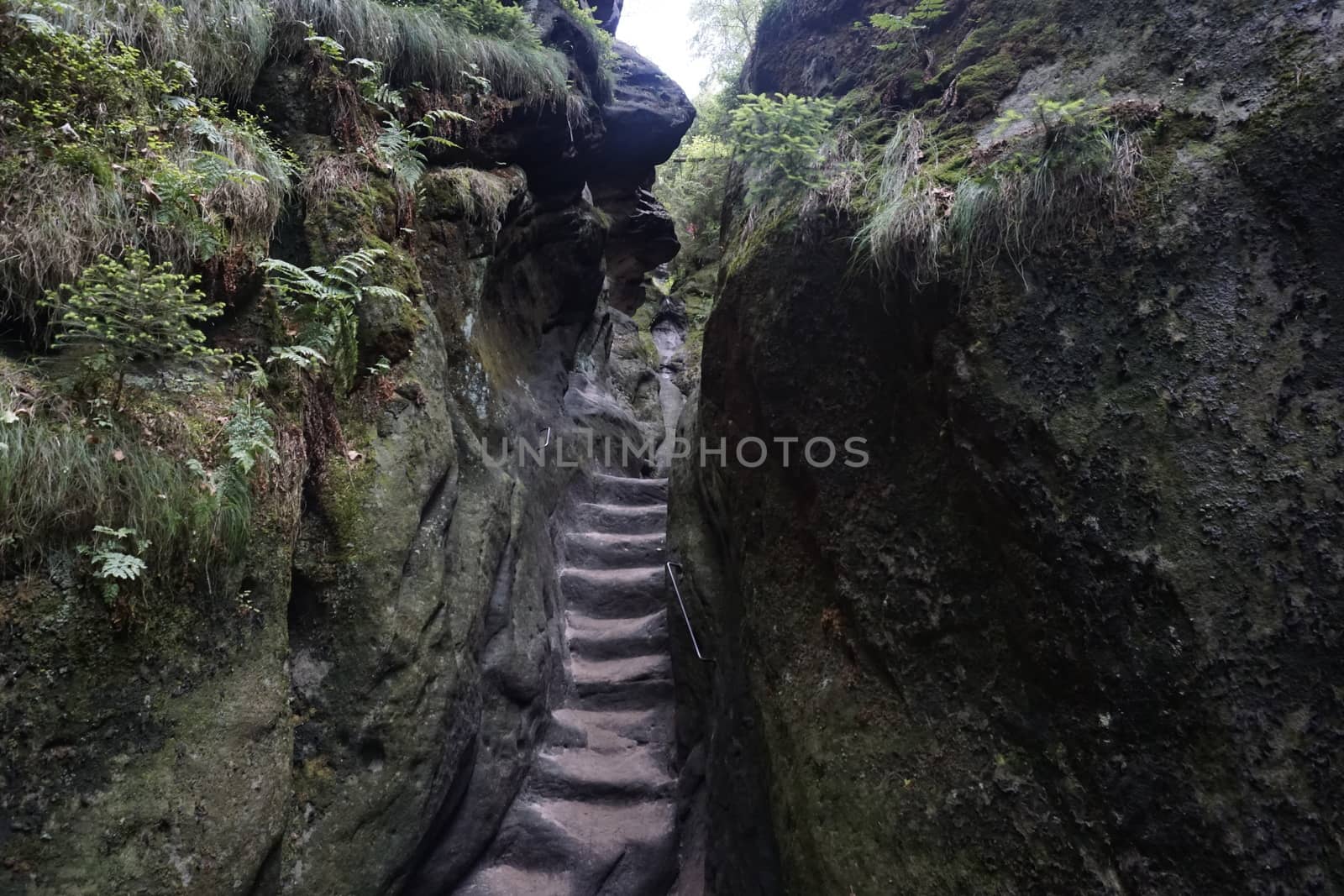 Very steep stairs through grey sandstone rocks in Saxon Switzerland, Germany