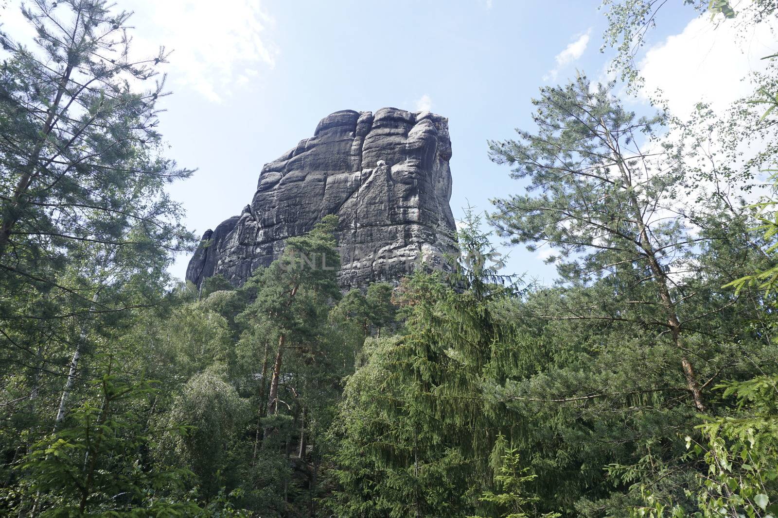 The Falkenstein mountain in Saxon Switzerland, Germany behind trees