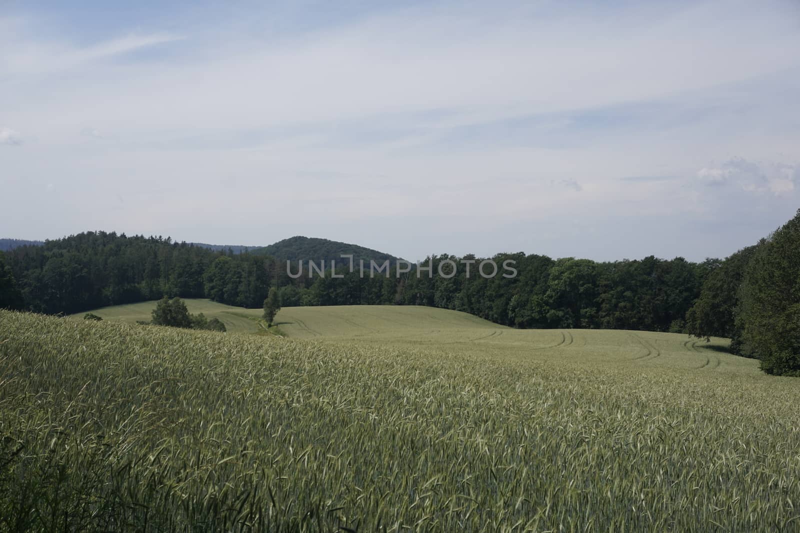 Beautiful landscape in Saxon Switzerland, Germany with Kanzel hill