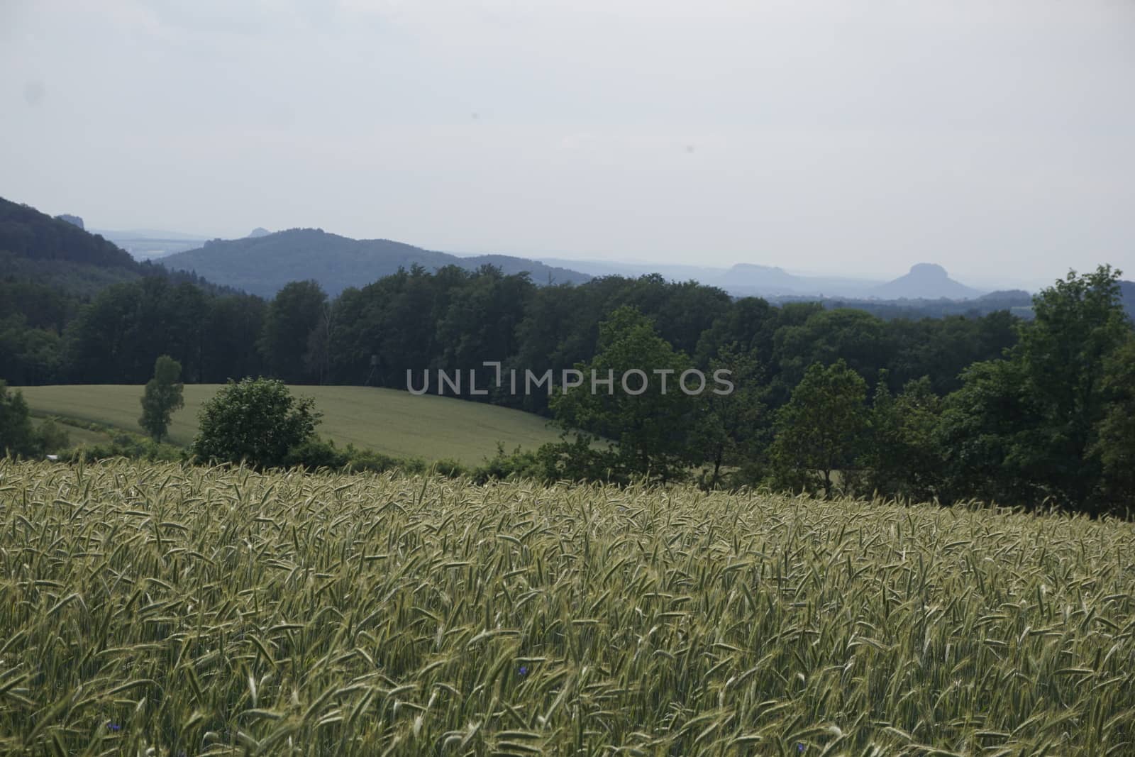 View from the Vogelberg to Lilienstein and other mountains in Saxon Switzerland, Germany
