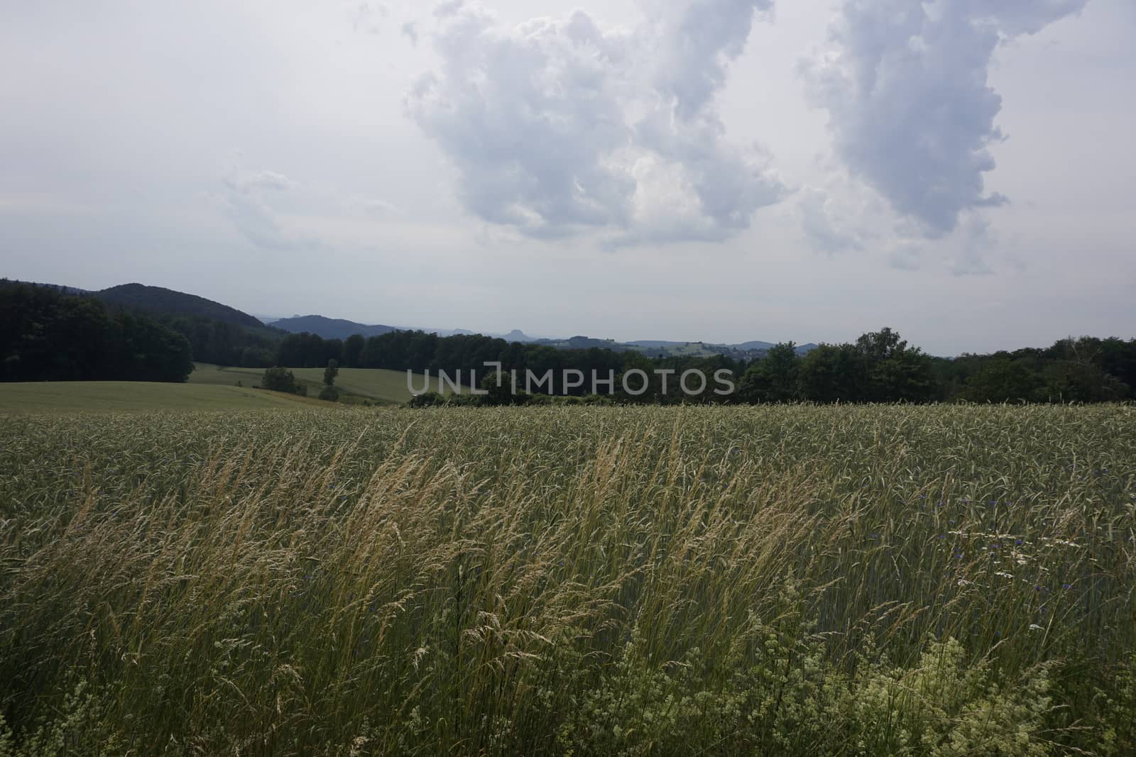 View from the Vogelberg mountain to the hills and mountains of Saxon Switzerland, Germany