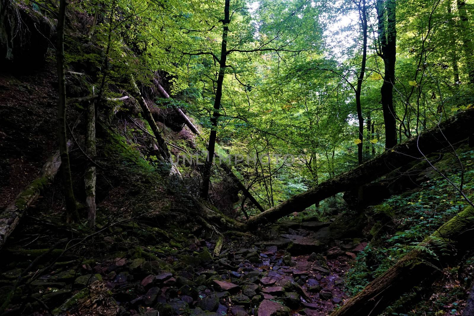 Wild and dangerous part of wolf's glen in Zwingenberg, Germany