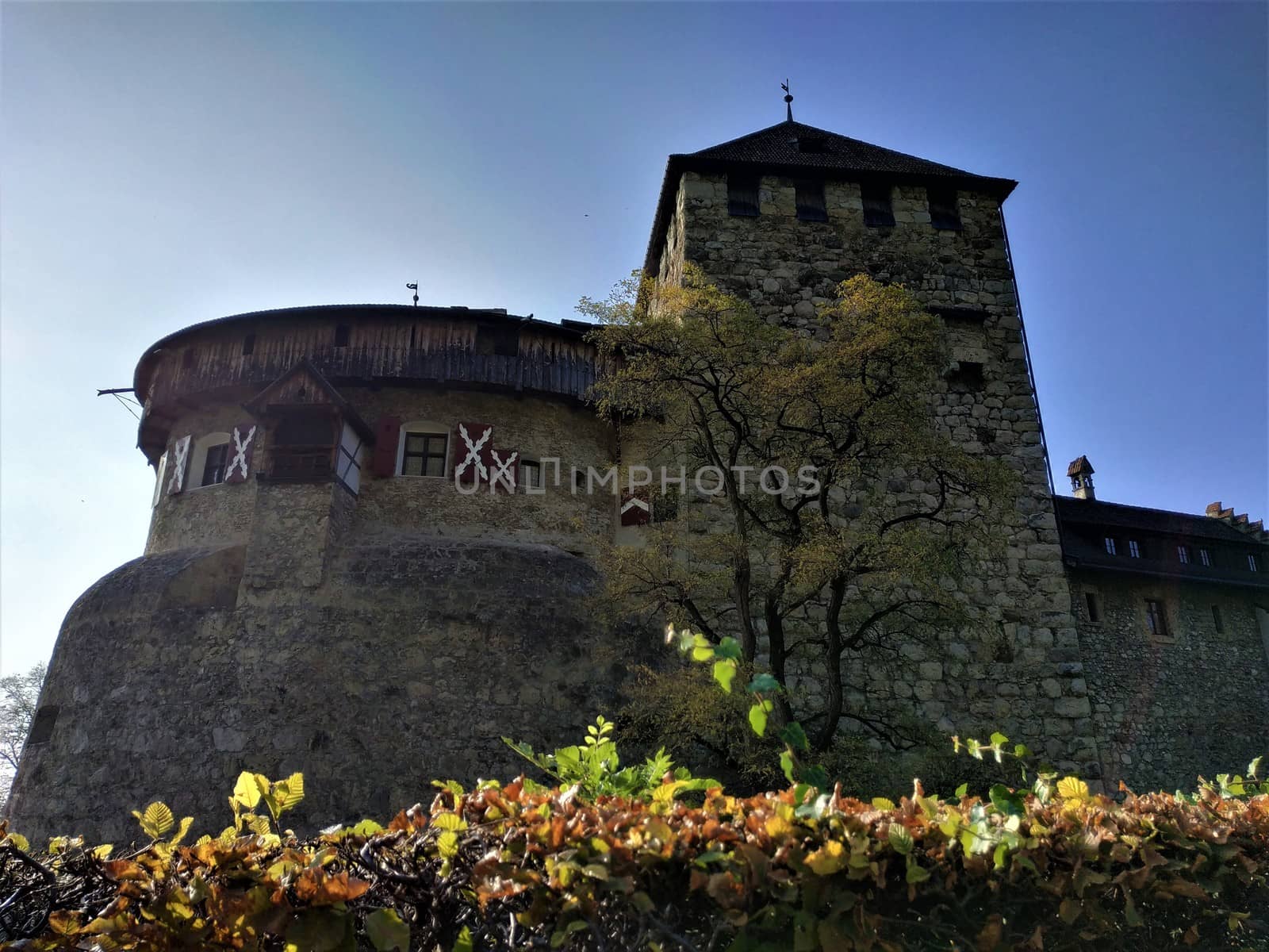 Hedge in front of Vaduz castle, Liechtenstein by pisces2386