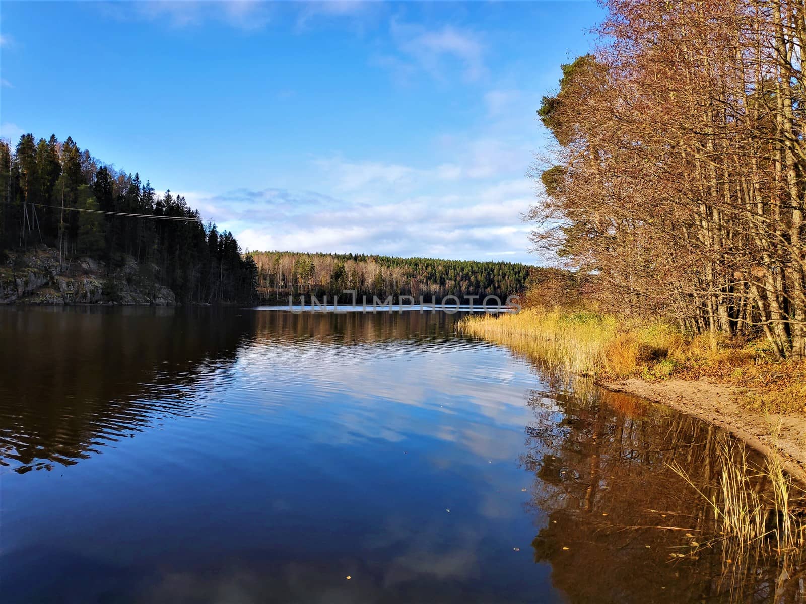 Calm lake near Haltia, Solvalla in autumn colors