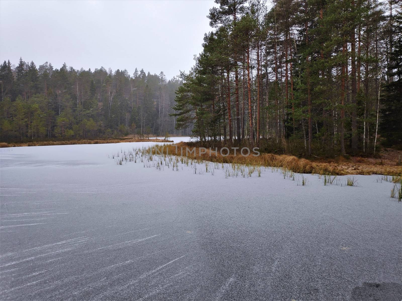 Frozen water in fron of island in Lake Haukkalampi, Finland