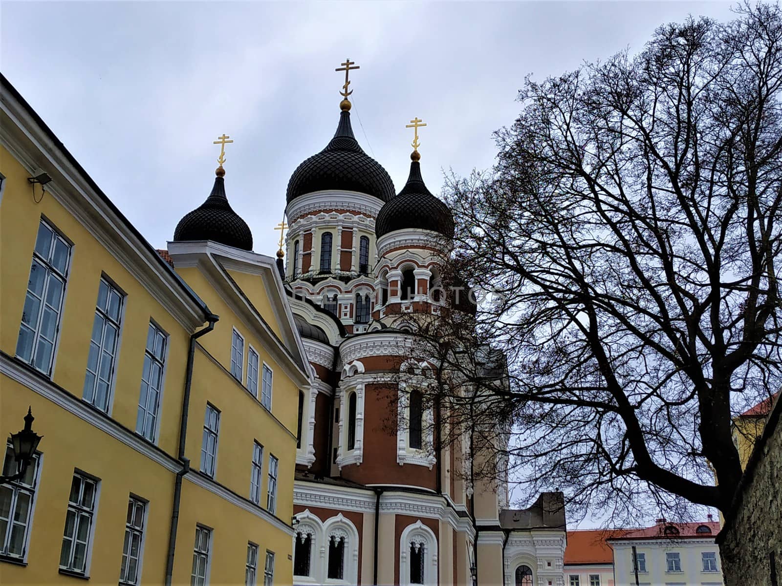 Alexander Newski Cathedral in Tallinn with yellow house and tree