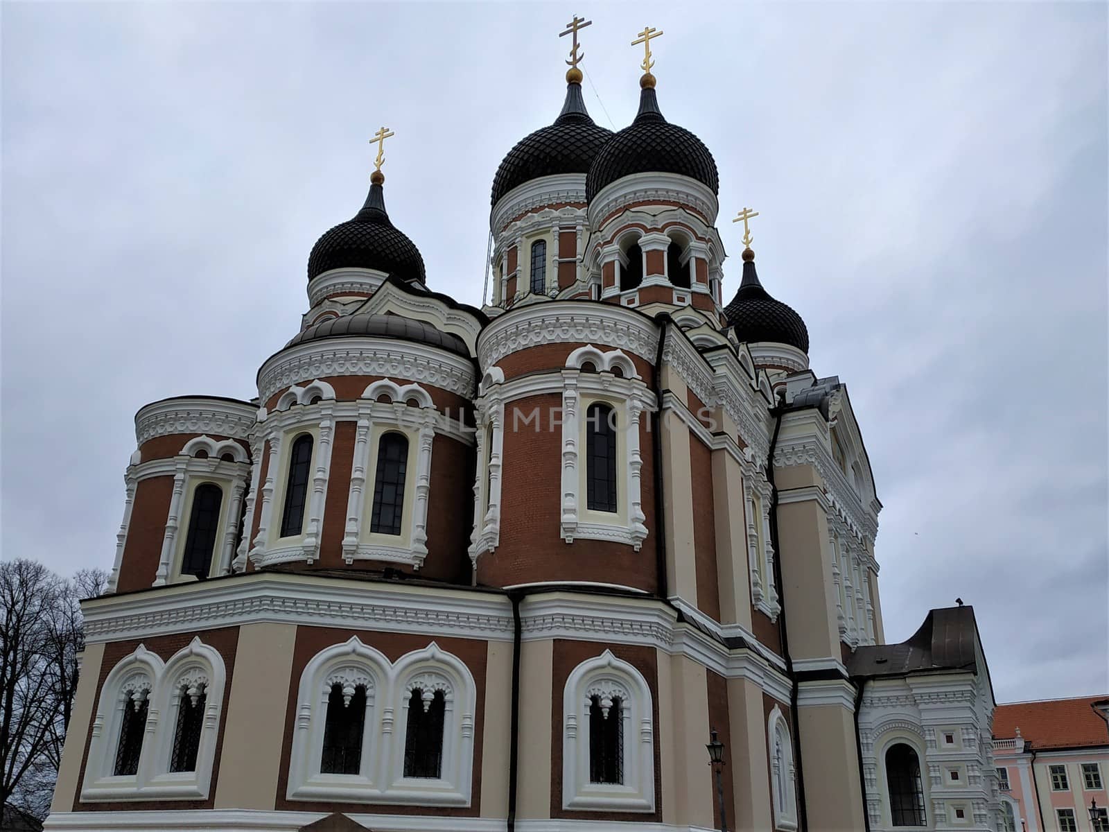 Sideview on Alexander Nevsky Cathedral in Tallinn by pisces2386