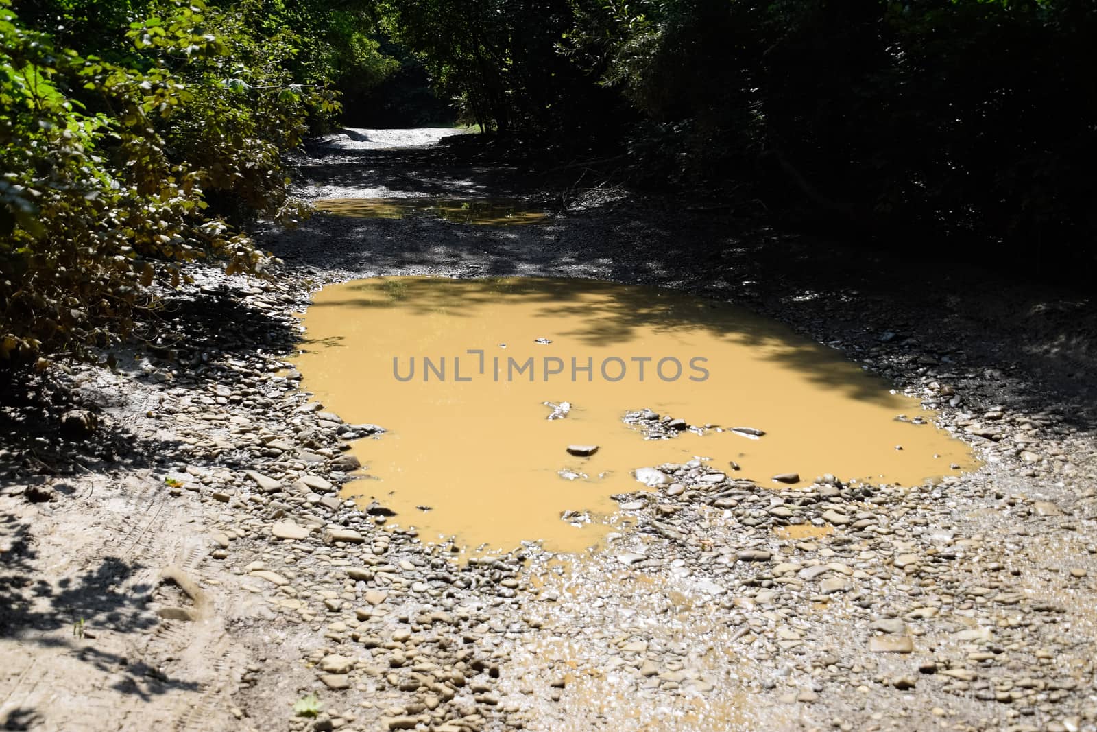 large puddle on a dirt country road. by fedoseevaolga