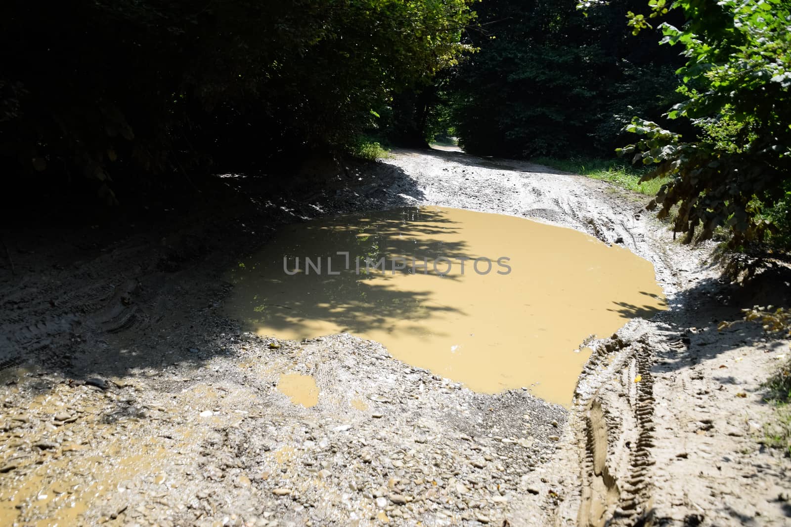 A large puddle on a dirt country road.