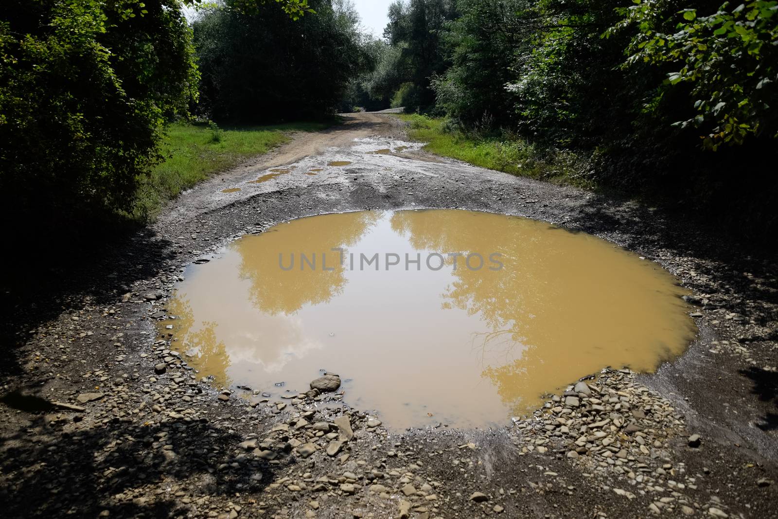 A large puddle on a dirt country road.