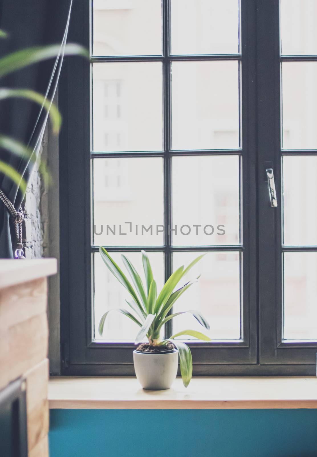 Window in a modern room, interior design by Anneleven