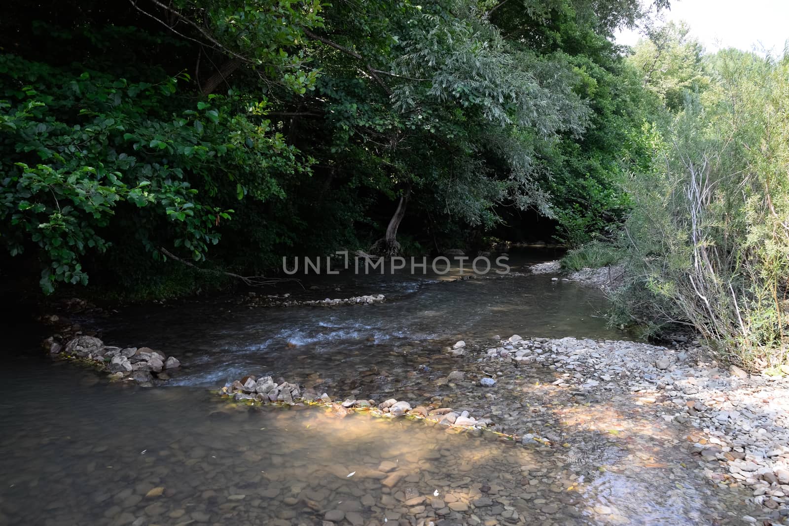 A shallow mountain river, the bottom of a mountain river of stones and gravel.