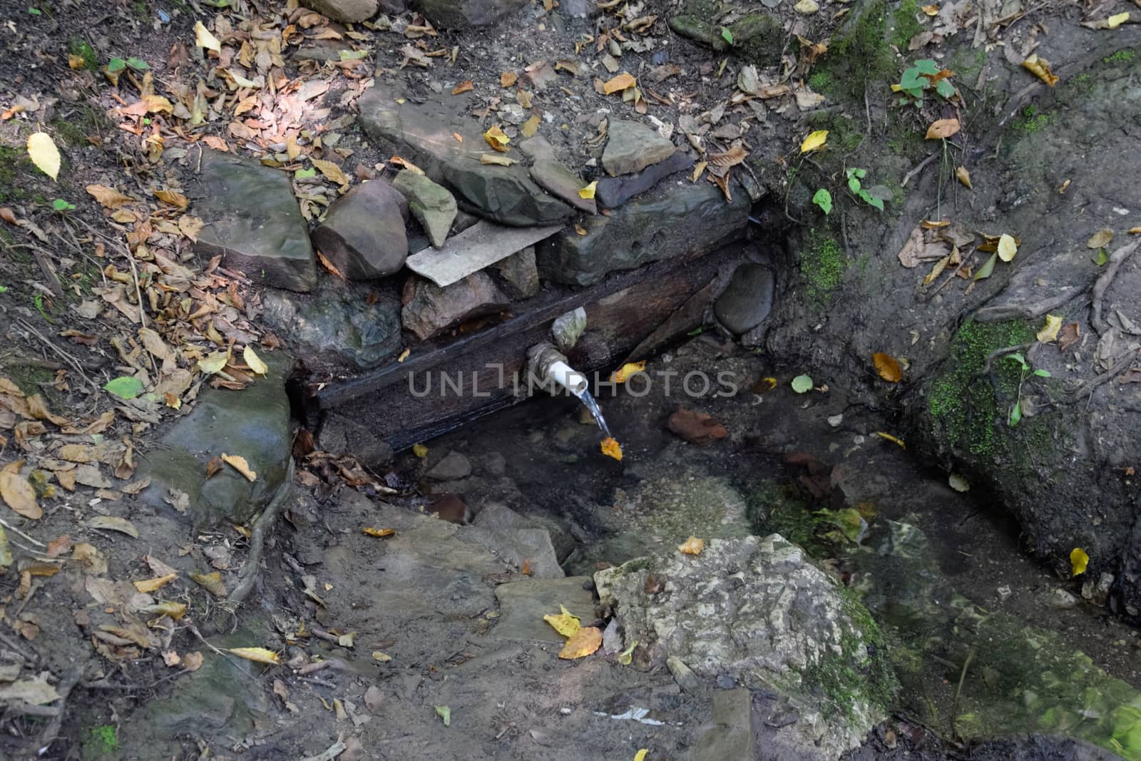 a tube inserted into the spring for the convenience of a set of drinking water. Shapsug Forest, Shapsugskaya Village.