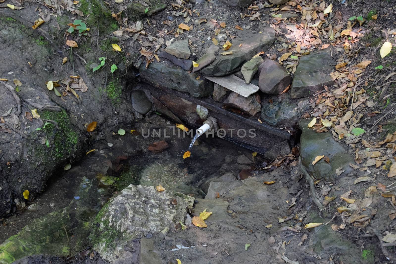 a tube inserted into the spring for the convenience of a set of drinking water. Shapsug Forest, Shapsugskaya Village.