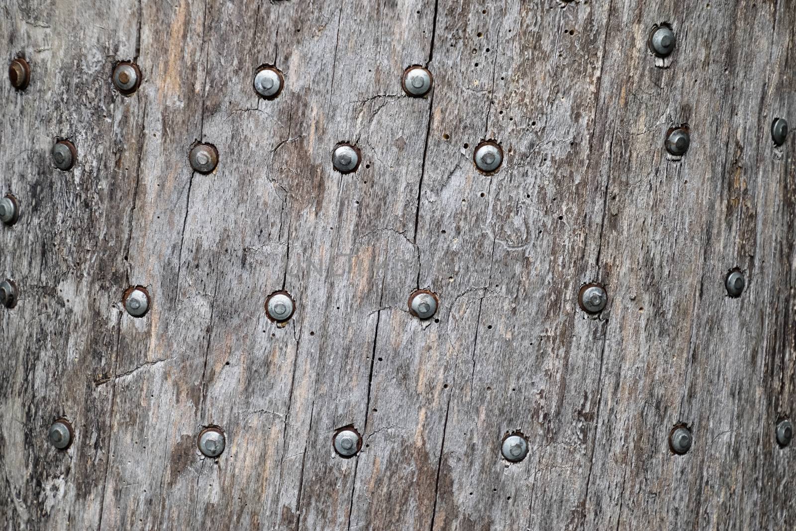 Background texture nails hammered into the tree. Nails hats.