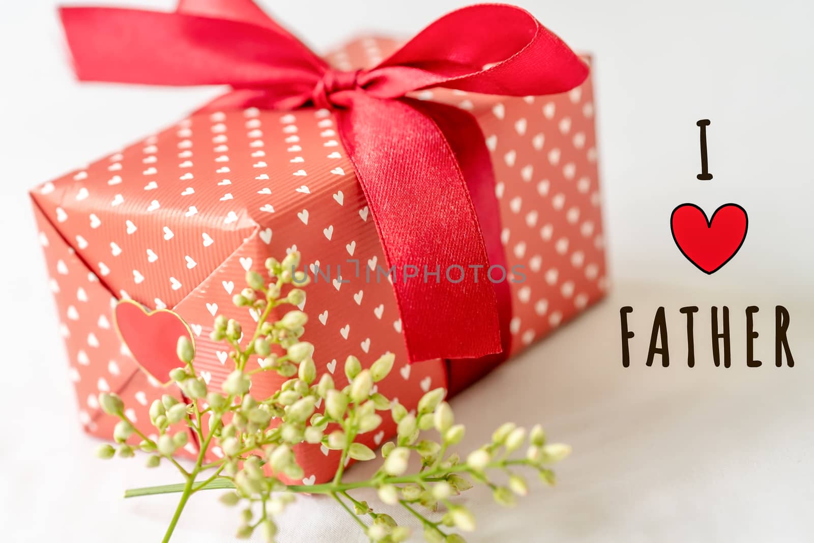 Happy father's day concept. Gift box and flower, paper tag with  by psodaz