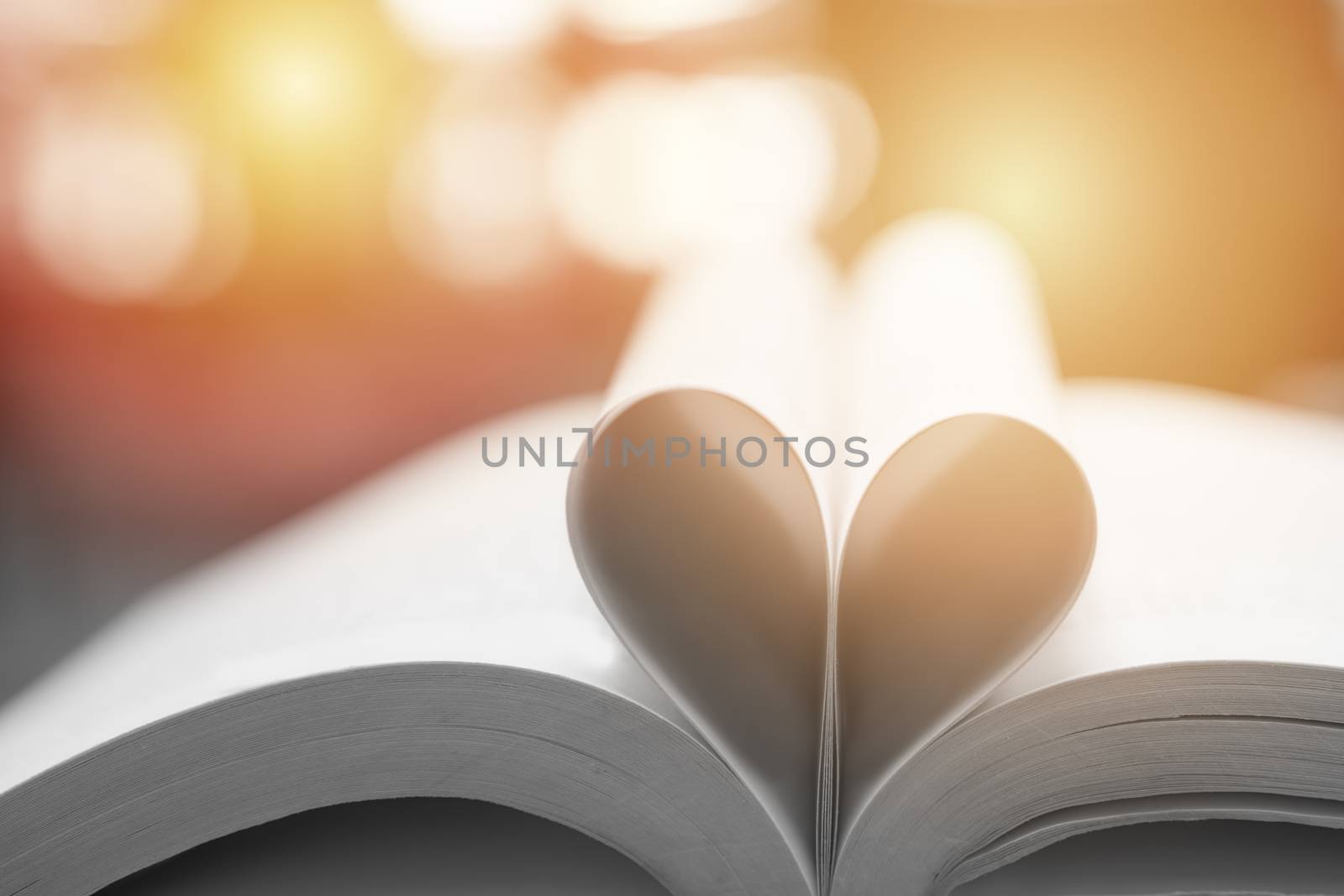 Abstract book in heart shape, wisdom and education concept, world book and copyright day