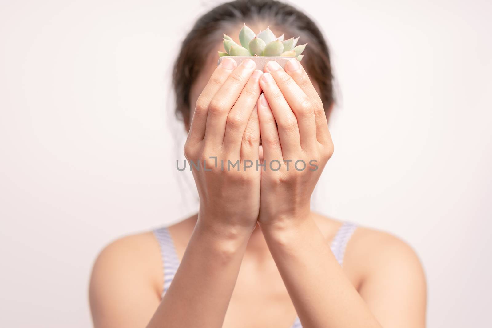 Women holding a green cactus tree on white background