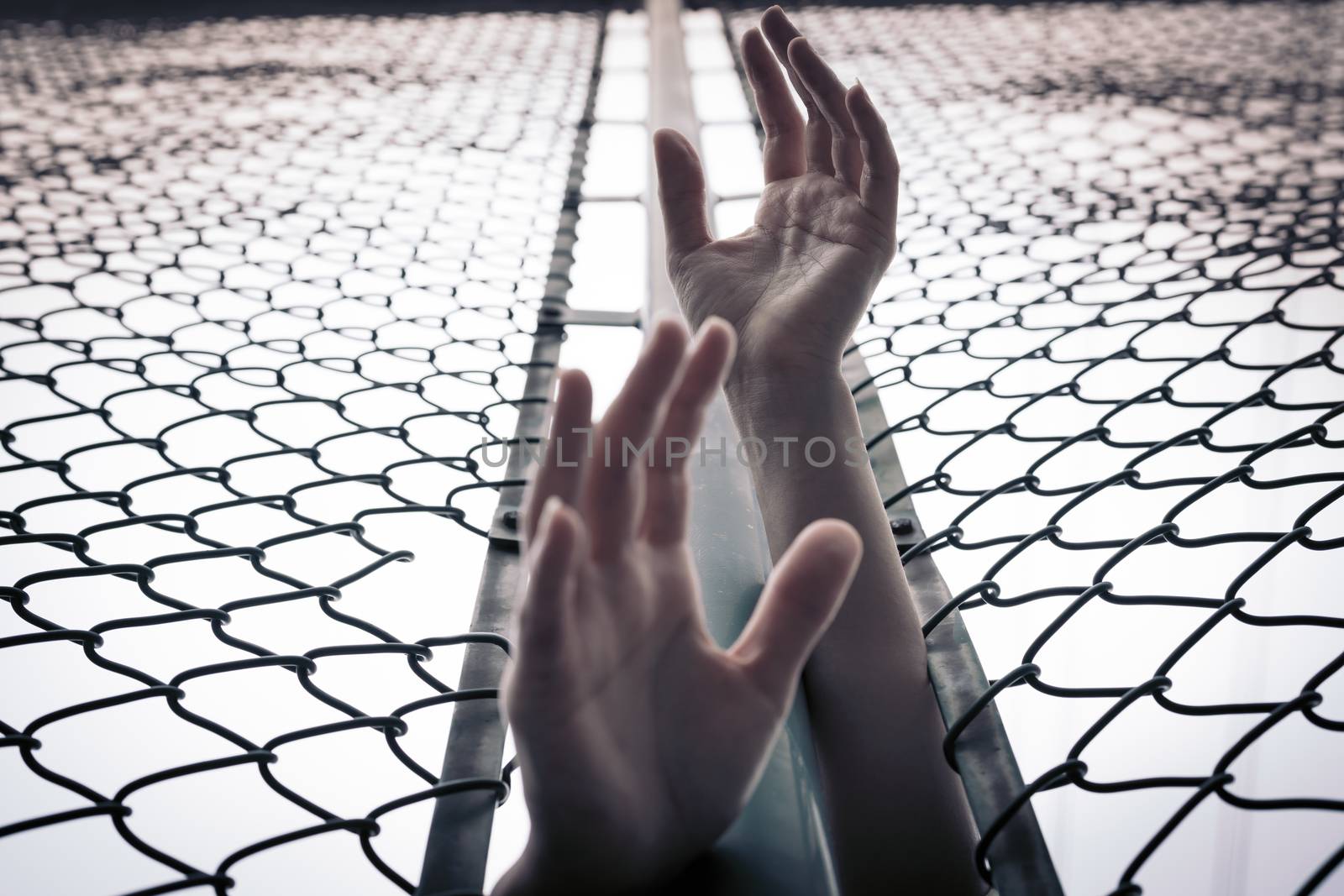 Depressed, trouble, help and chance. Hopeless women raise hand over chain-link fence ask for help