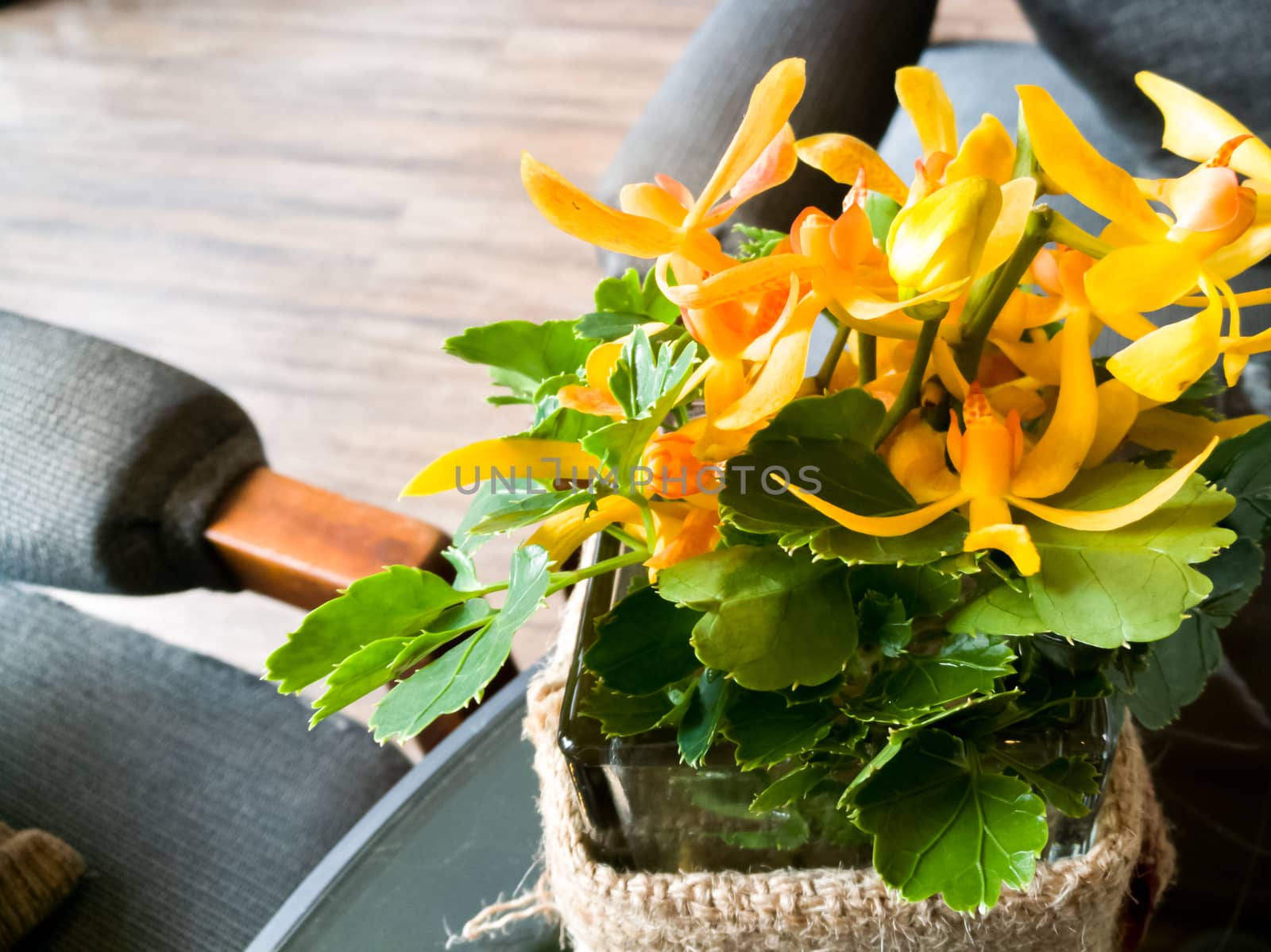 A yellow orchid on the cozy coffee table by psodaz