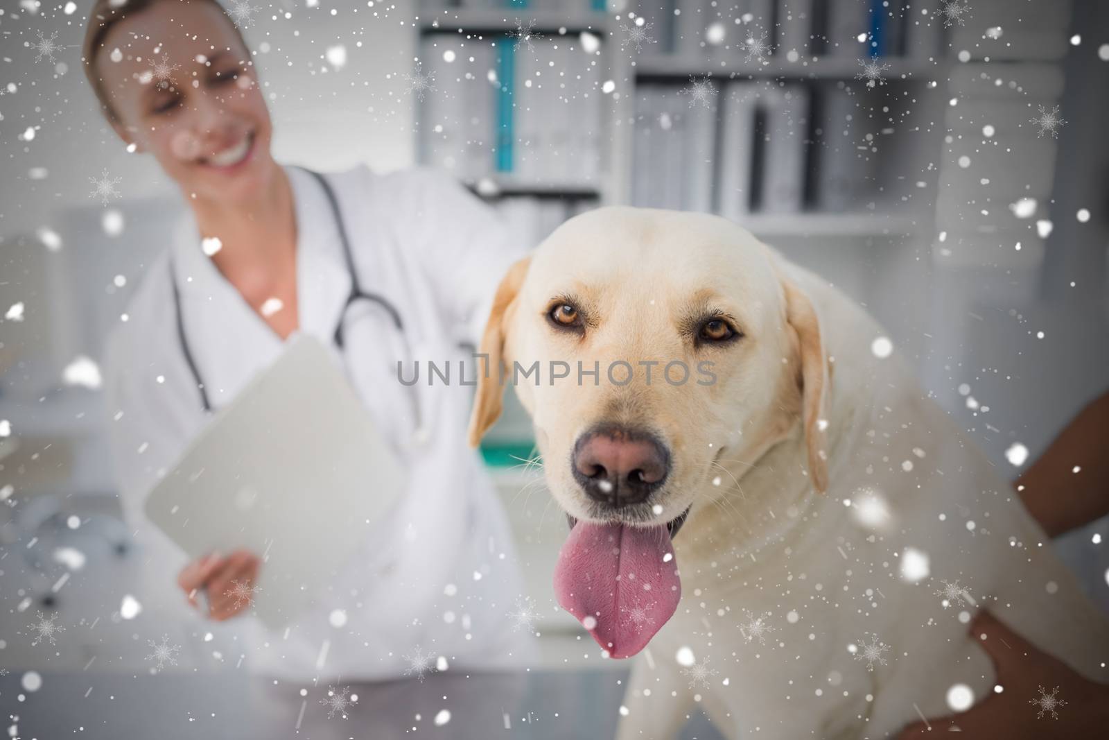 Composite image of dog with female veterinarian against snow falling
