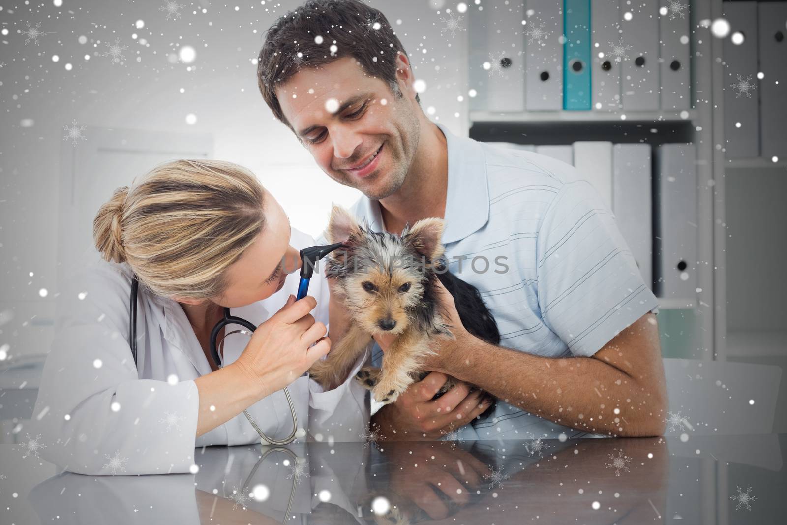 Composite image of veterinarian examining ear of puppy against snow