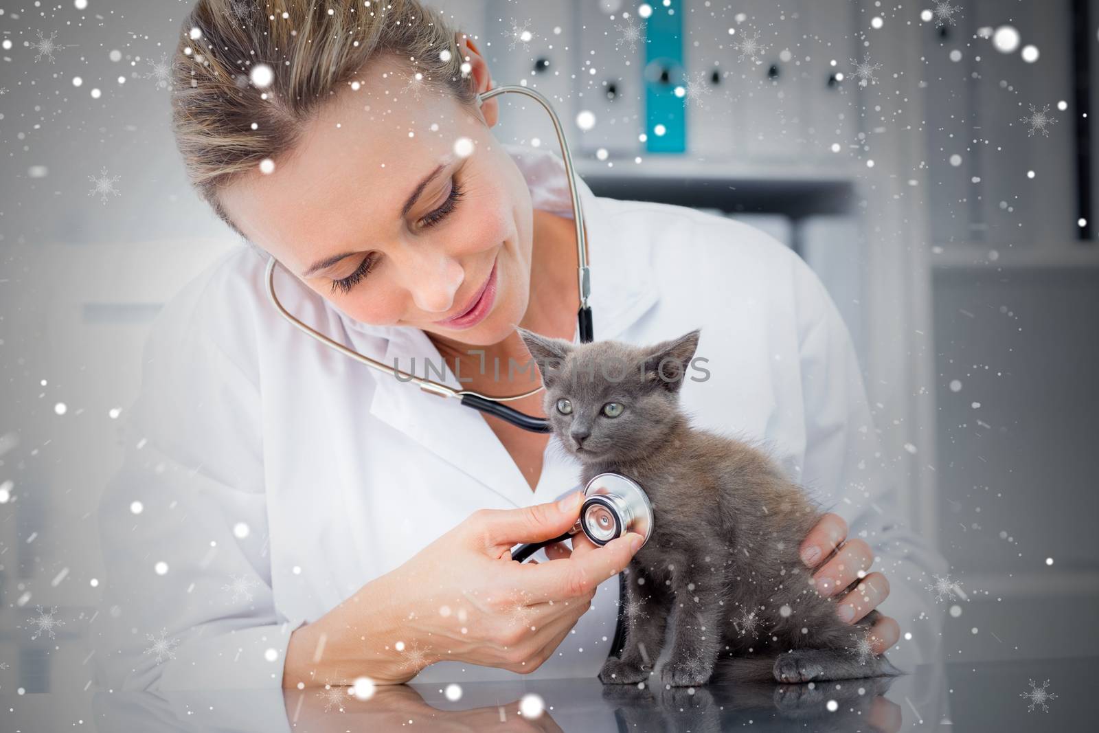 Composite image of veterinarian examining kitten against snow