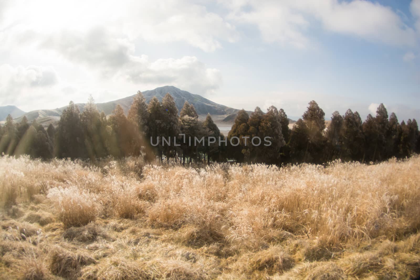 Mount Aso and Kusasenri in winter. covered by golden yellow grassland - Kumamoto, Japan