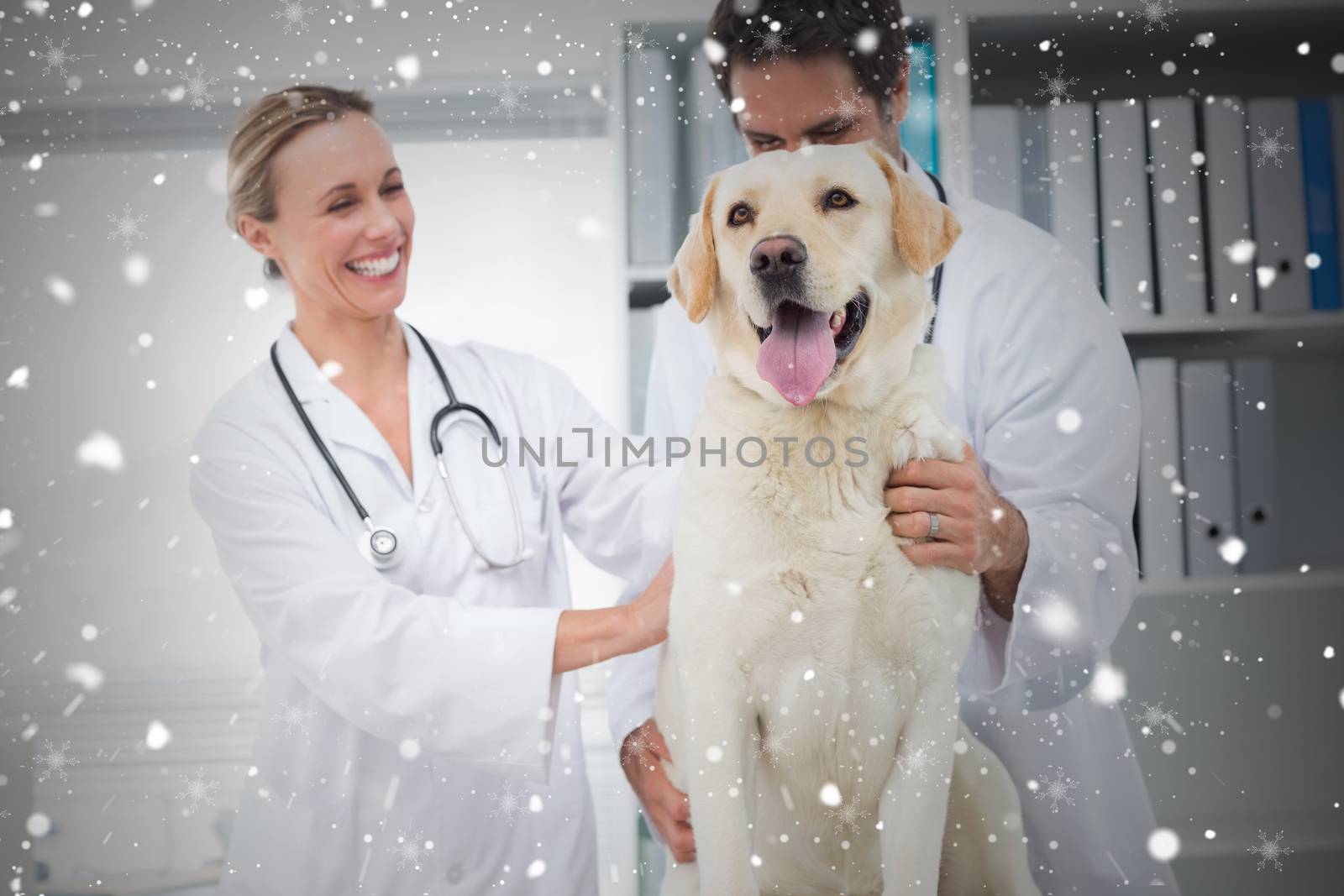 Composite image of veterinarians examining dog by Wavebreakmedia