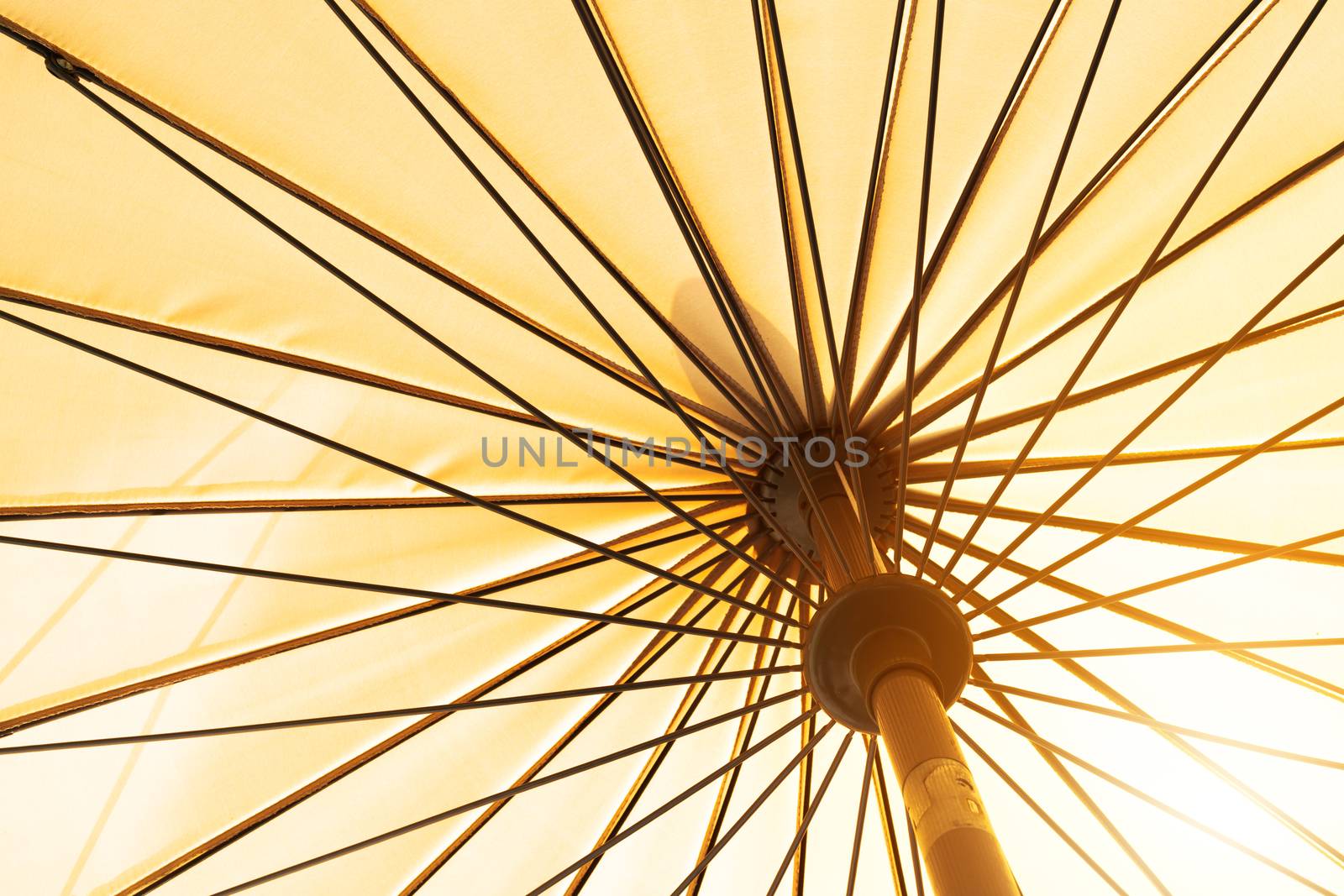 summer season coming, yellow umbrella low angle view under sunshine