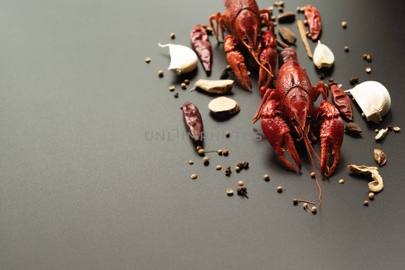 Crayfish red, Baby Lobster with herb for stir fry on black background