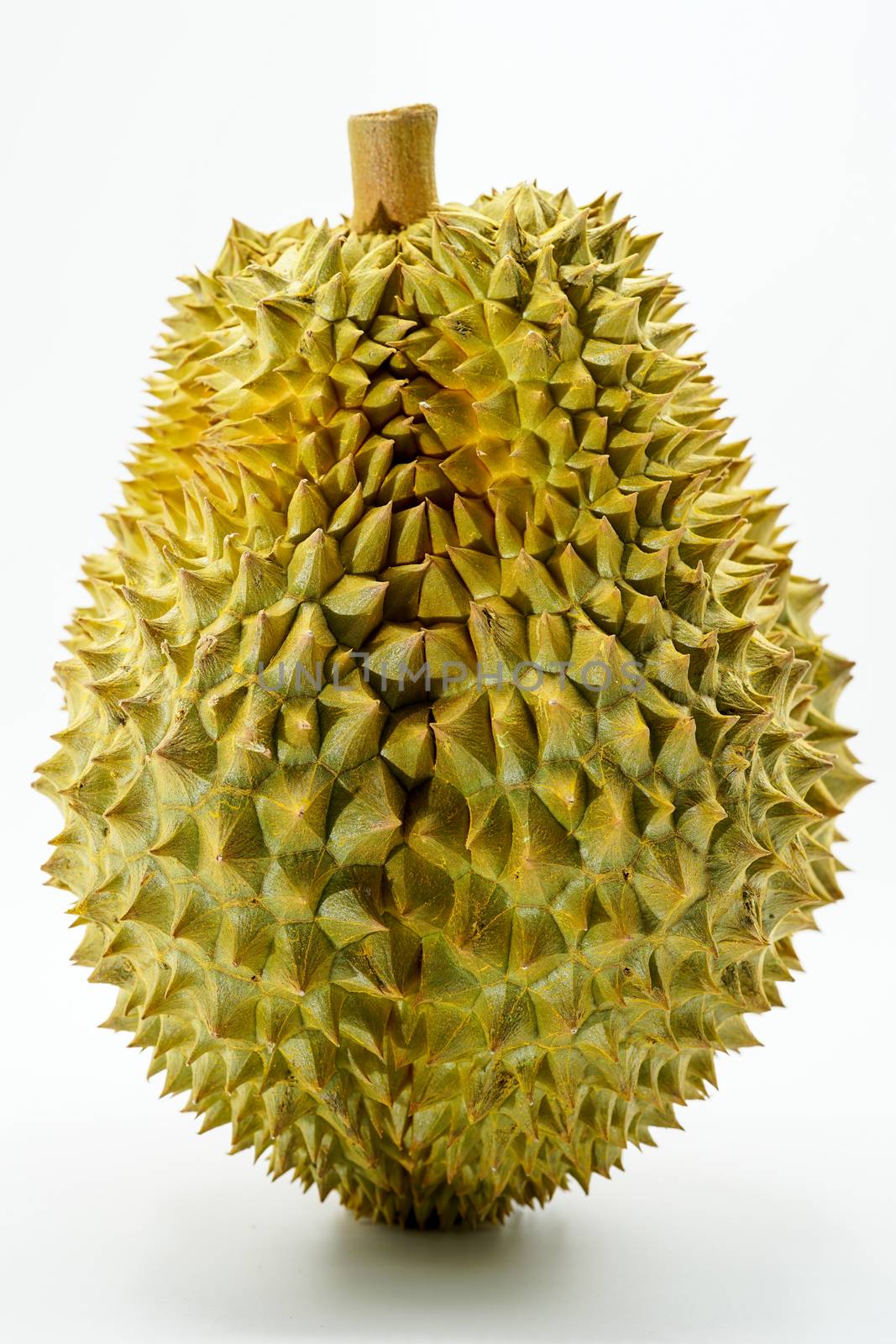 Fresh Cut Monthong Durian on white background,closeup view of Du by psodaz