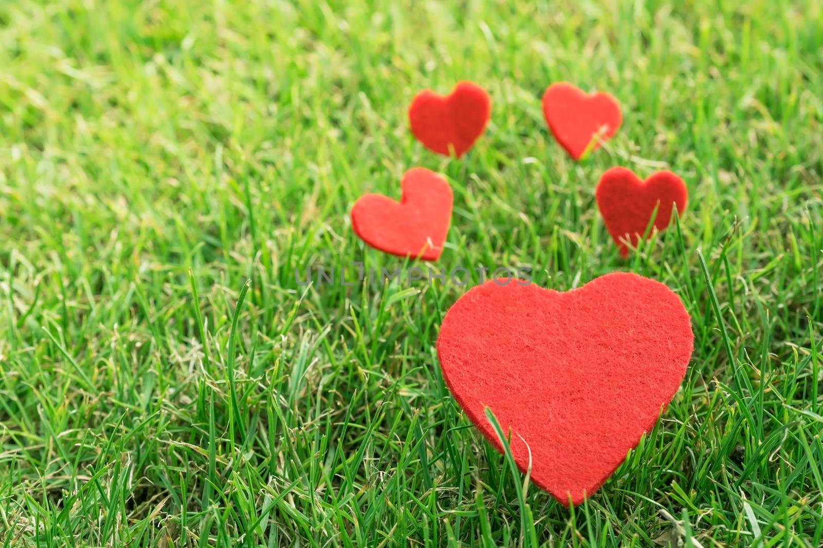 red heart on the green grass backgrounds with copy space