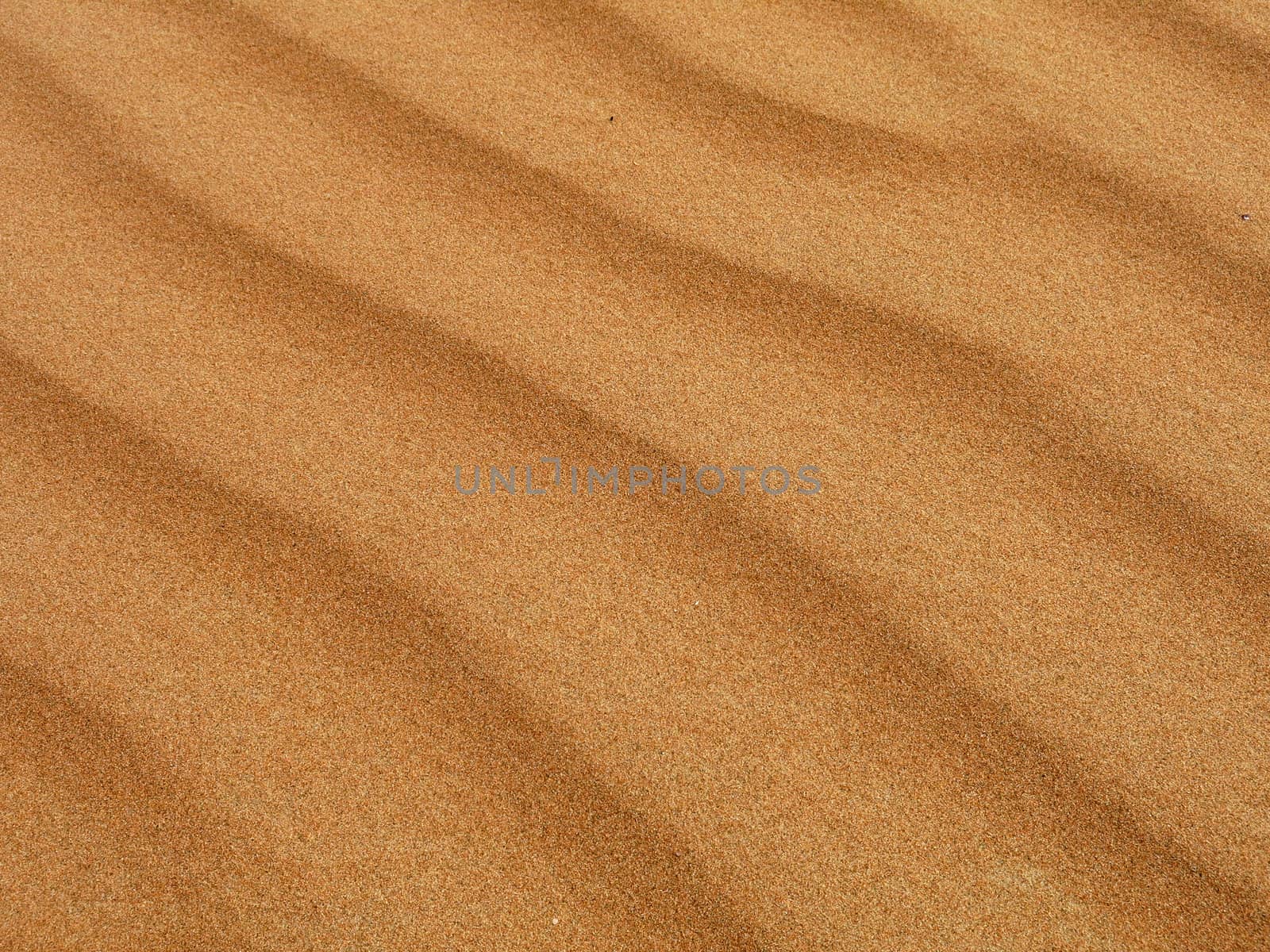 Sand from a desert on the outskirts of Dubai.