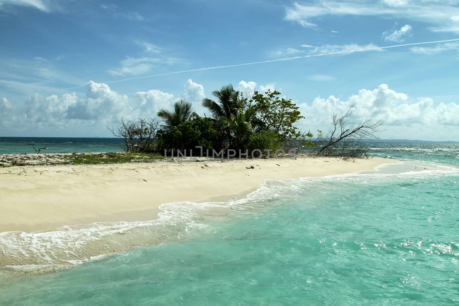 A small island off the coast of Puerto Rico.