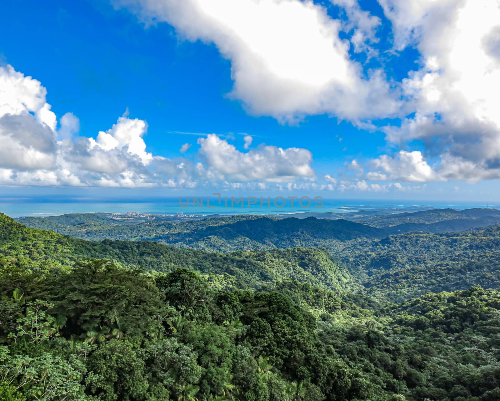 A beautiful aerial view of El Yunque National Rainforest in Puerto Rico.