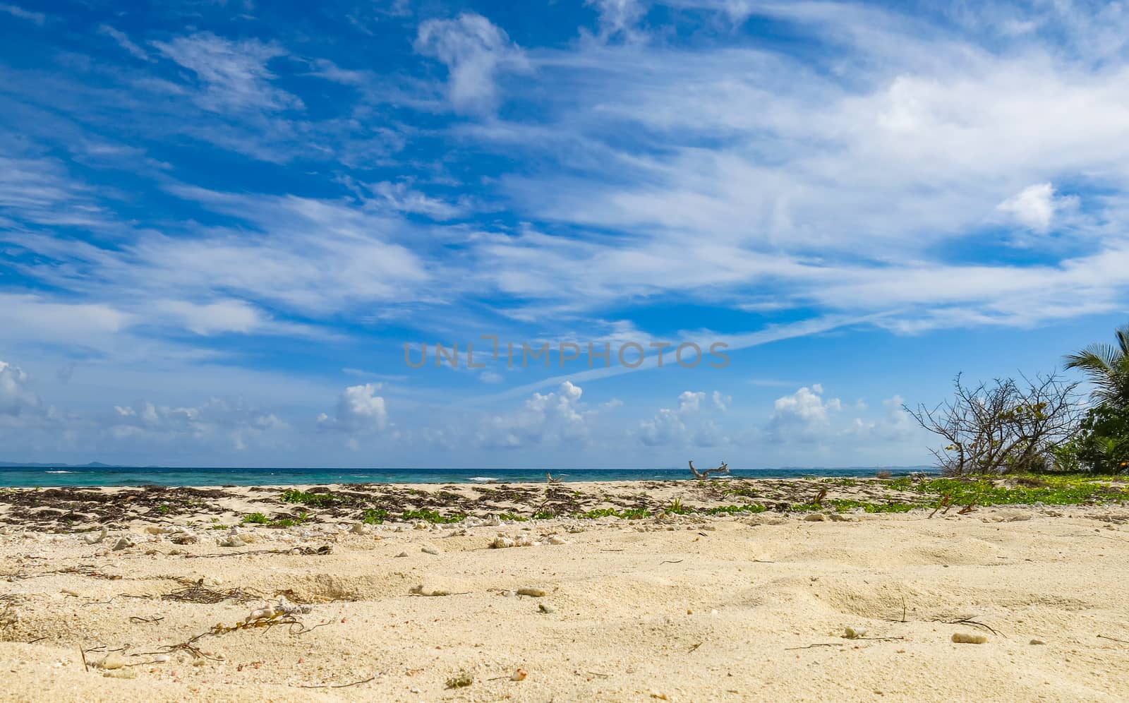 A lovely view of an empty beach in Puerto Rico.