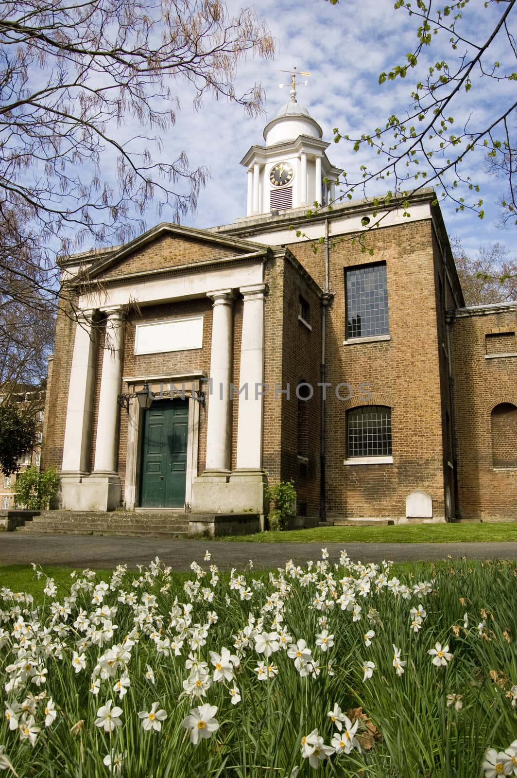 St Mary's Church, Paddington with Narcissus by BasPhoto