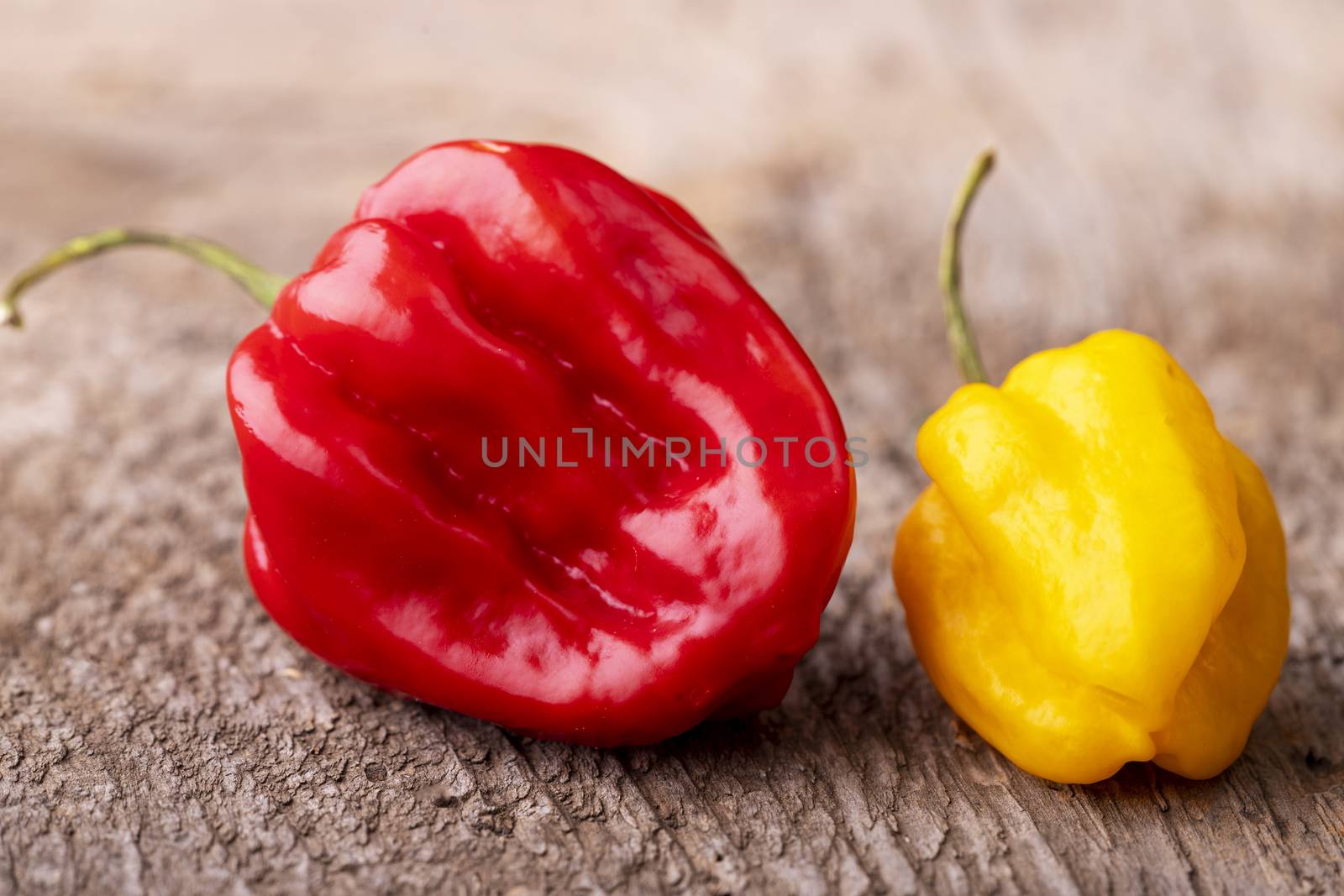 red and yellow habanero chili on wood