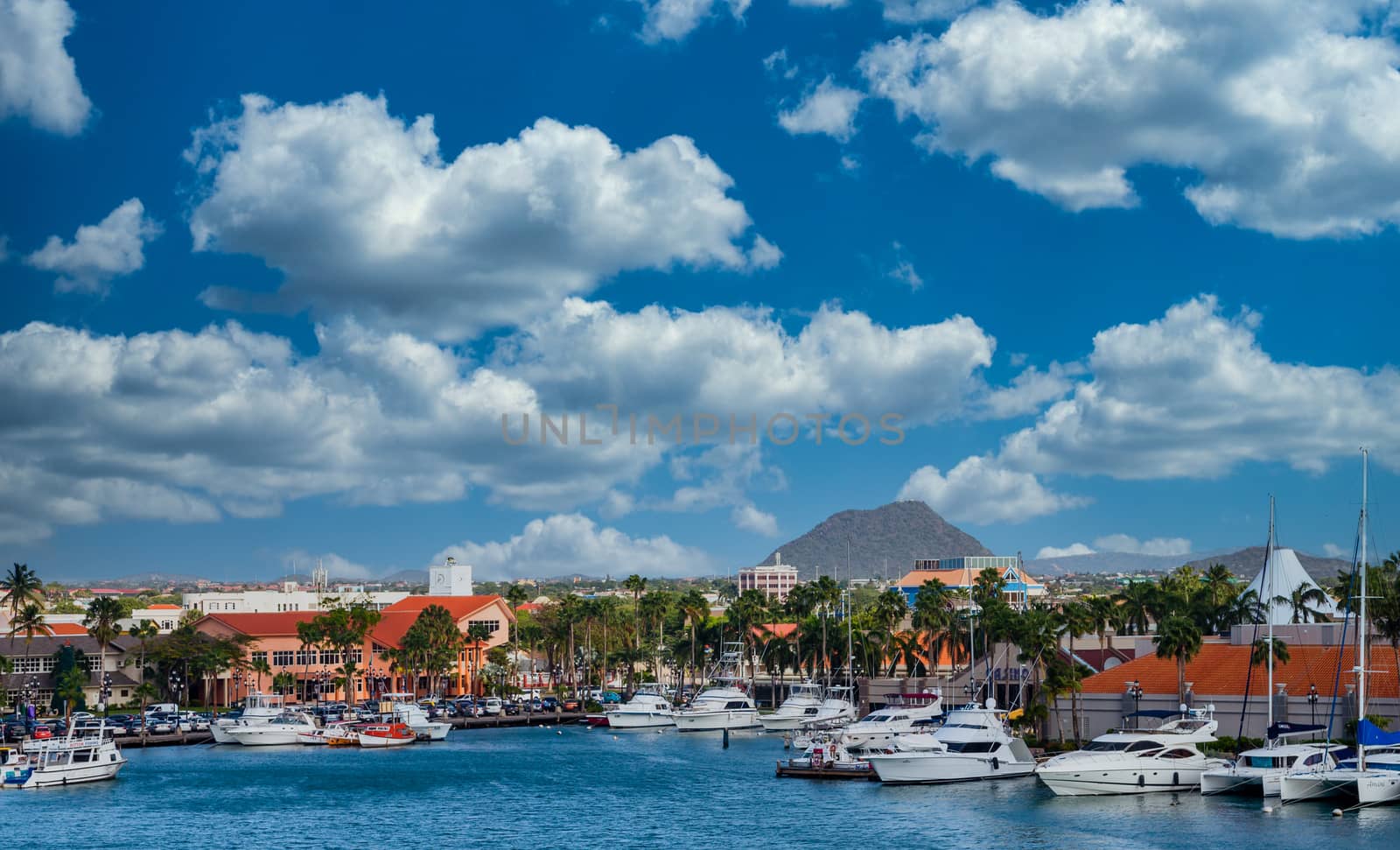 Yacht Basin on Aruba Harbor by dbvirago