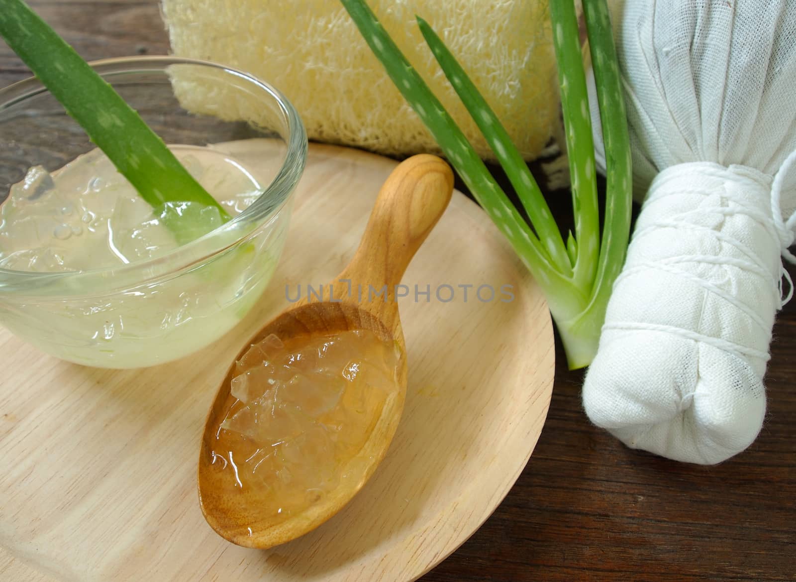aloe vera spa for use in skin care