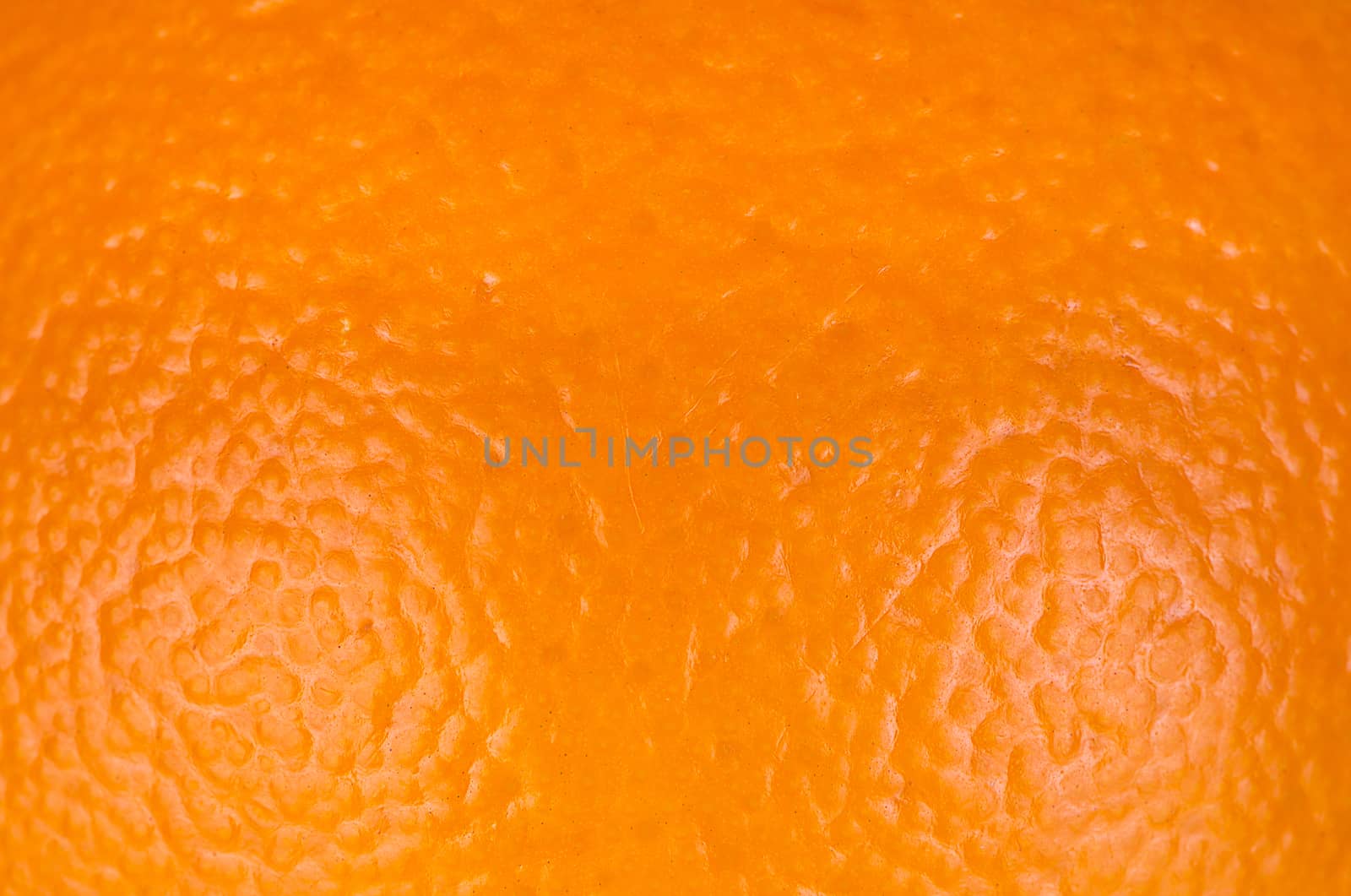 Ripe orange isolated on a white background.