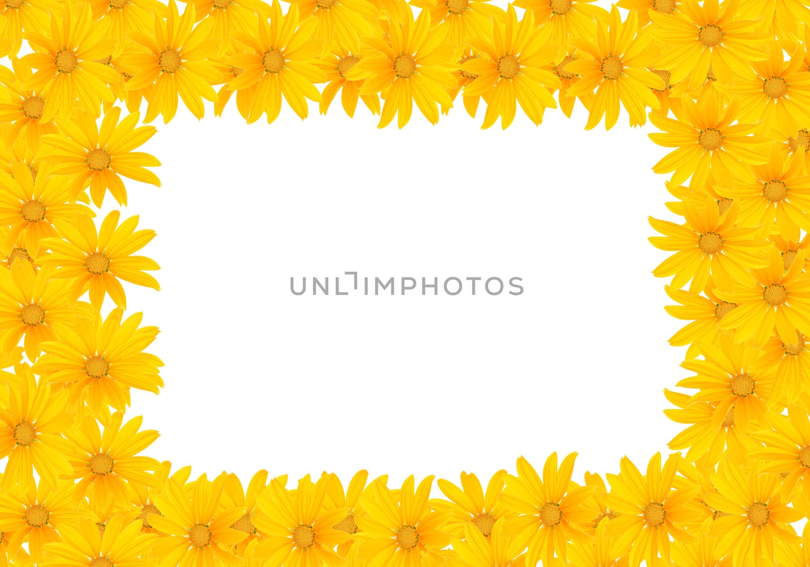 Small yellow flowers on a white background.