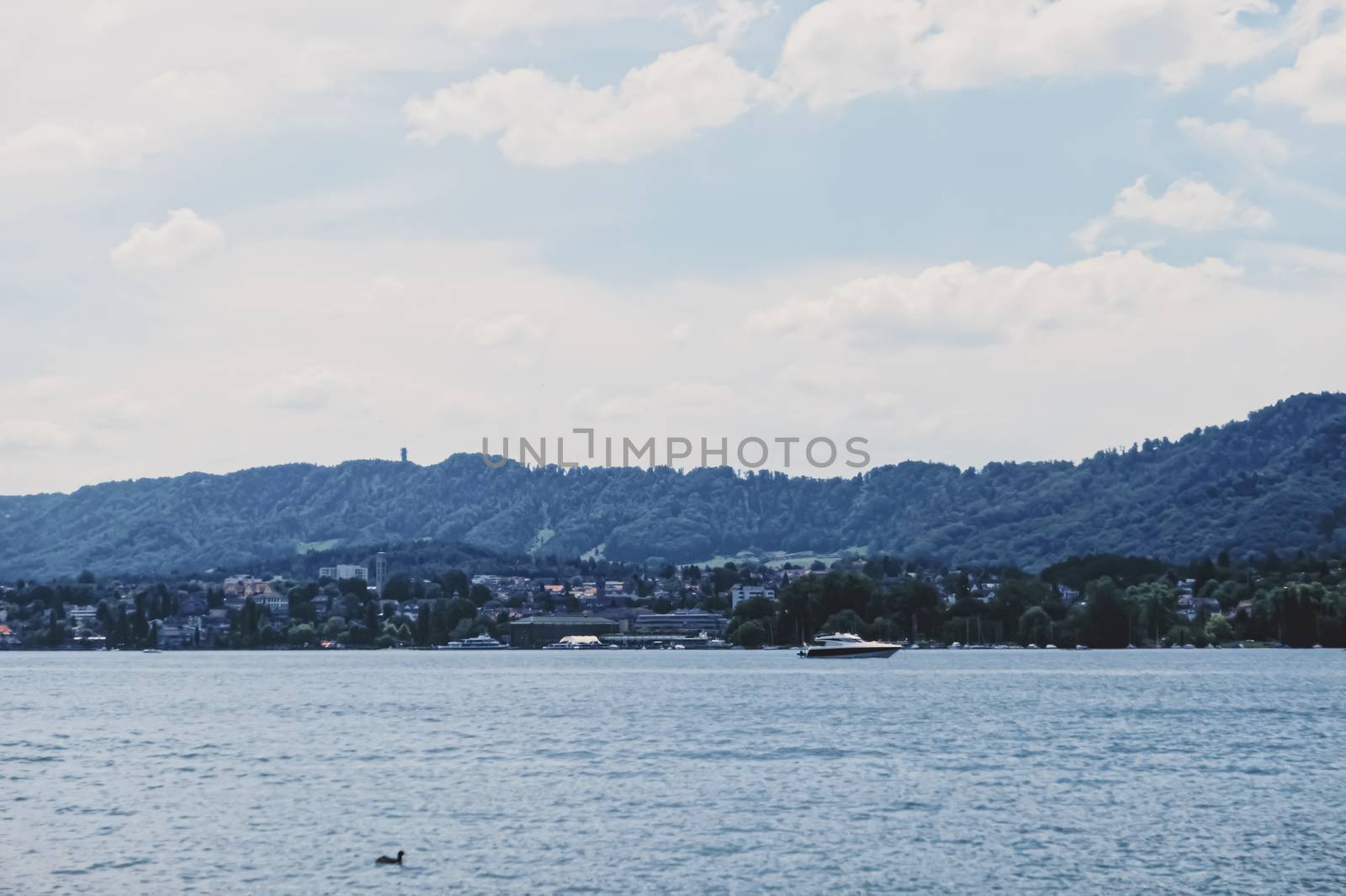 City park near lake Zurich in Switzerland, summertime