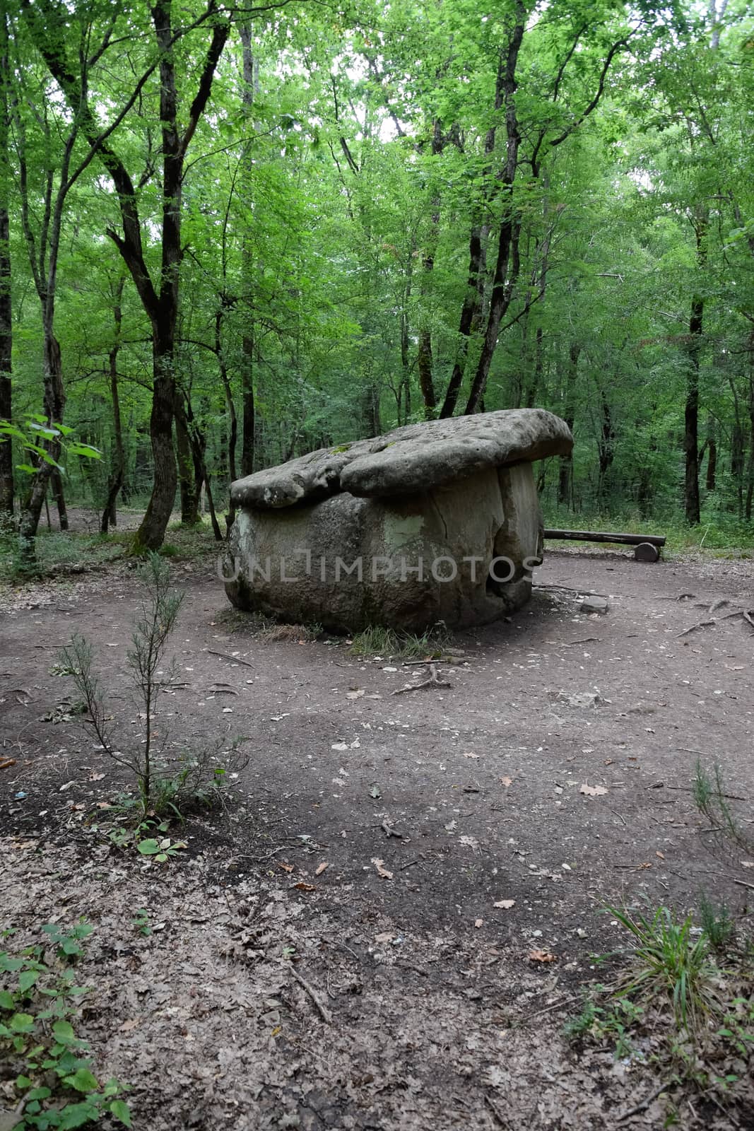 Dolmen in Shapsug. Forest in the city near the village of Shapsugskaya, the sights are dolmens and ruins of ancient civilization.