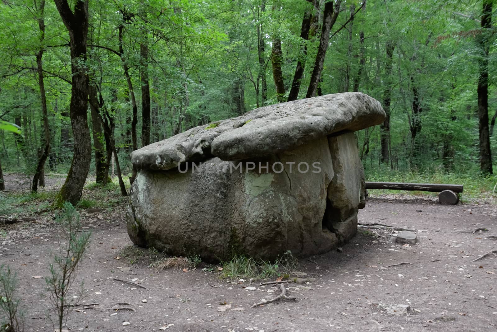 Dolmen in Shapsug. Forest in the city near the village of Shapsugskaya, sights are dolmens and ruins of ancient civilization. by fedoseevaolga