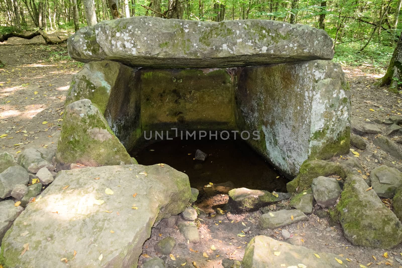Dolmen in Shapsug. Forest in the city near the village of Shapsugskaya, the sights are dolmens and ruins of ancient civilization.